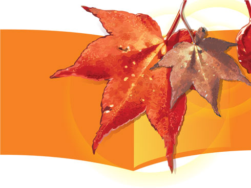 Осенние листья (CorelDRAW X3)