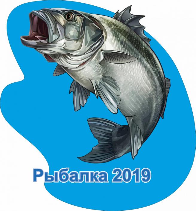 Рыбалка 2019